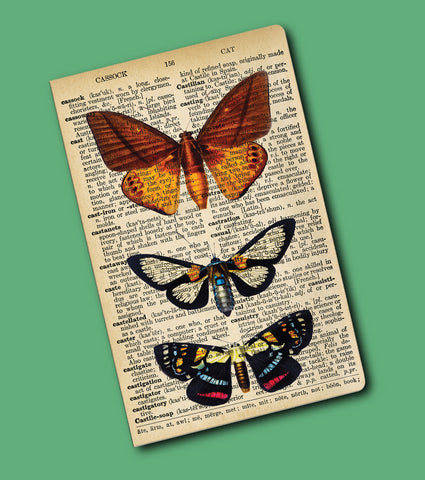 Journal - Butterflies