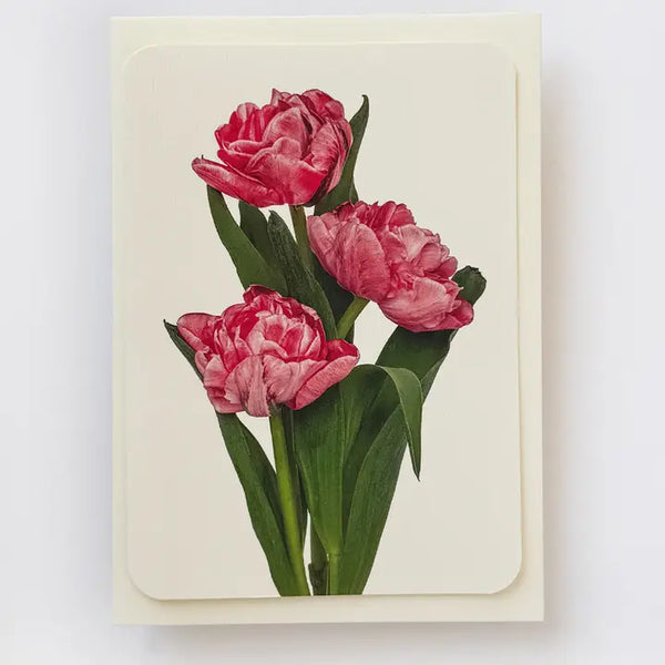 Card - Pink Tulips