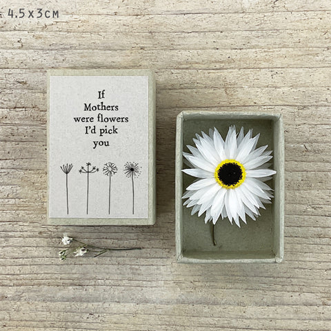Dried Flower Matchbox - If Mothers were Flowers