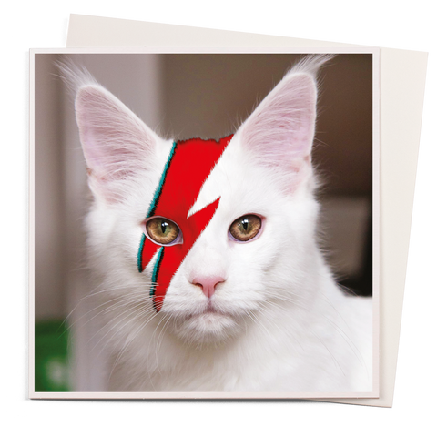 Card - Meowie