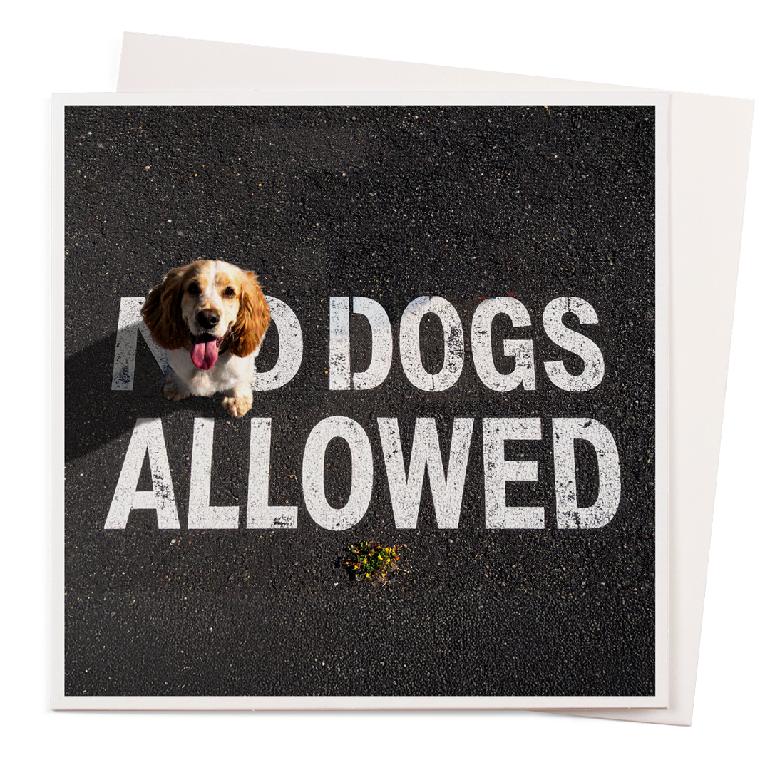 Card - Dogs Allowed