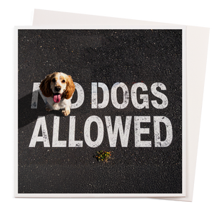 Card - Dogs Allowed