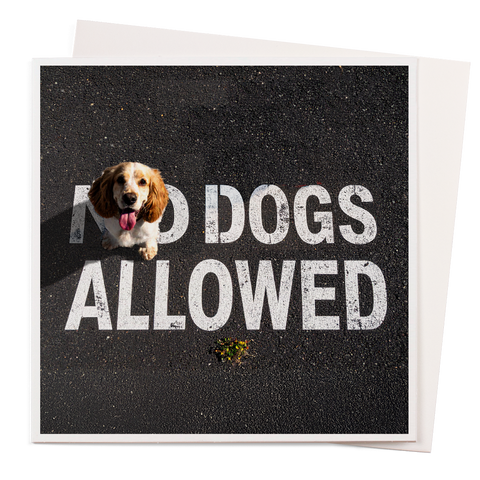 Card - Dogs Allowed
