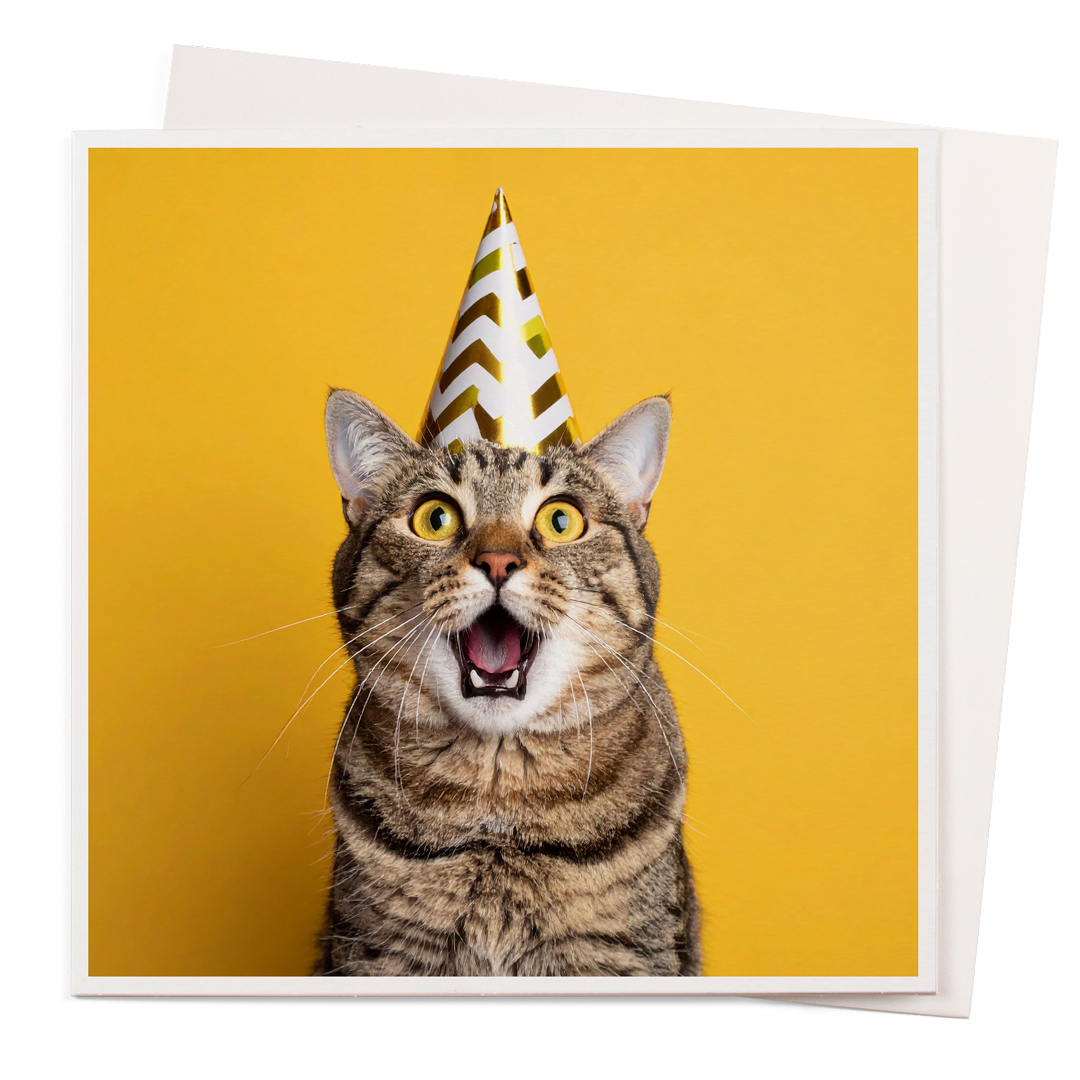Card - Cat In The Hat