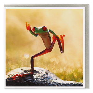 Card - Dancing Frog