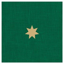 Green & Gold Star Christmas Napkins