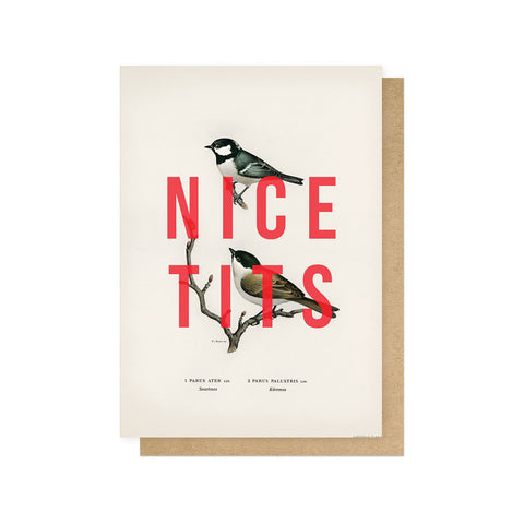 Funny Card - Nice Tits