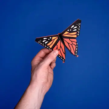 Origami Butterflies - Create and Display Kit