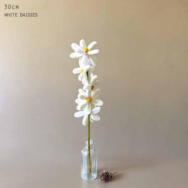 Daisy Felt Branch