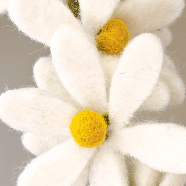 Daisy Felt Branch