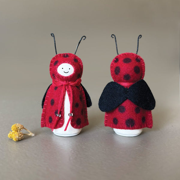 Woodland Bug - Ladybird