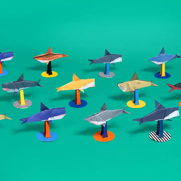 Origami Sharkss - Create and Display Kit