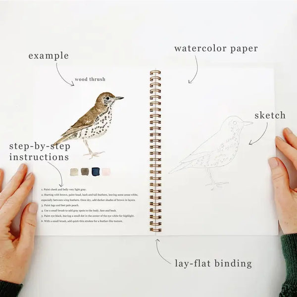 Birds Watercolour Workbook