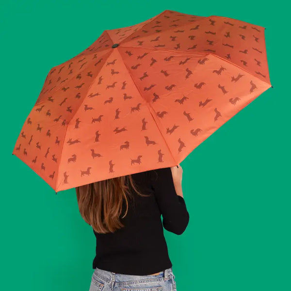 Dachsund Umbrella