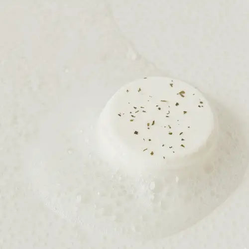 Steami Shower Steamer - You've Totally Got This Hun