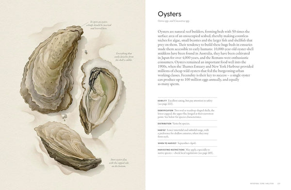 Coastal Forager - Wild Maritime Food