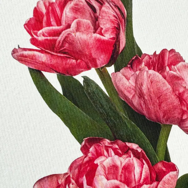 Card - Pink Tulips