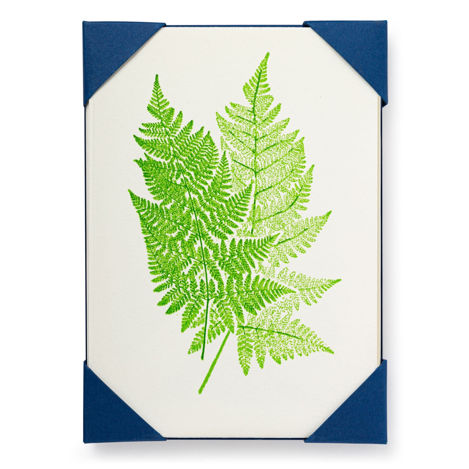 Letterpress Card Pack - Fern