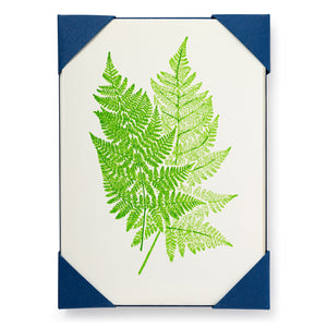 Letterpress Card Pack - Fern