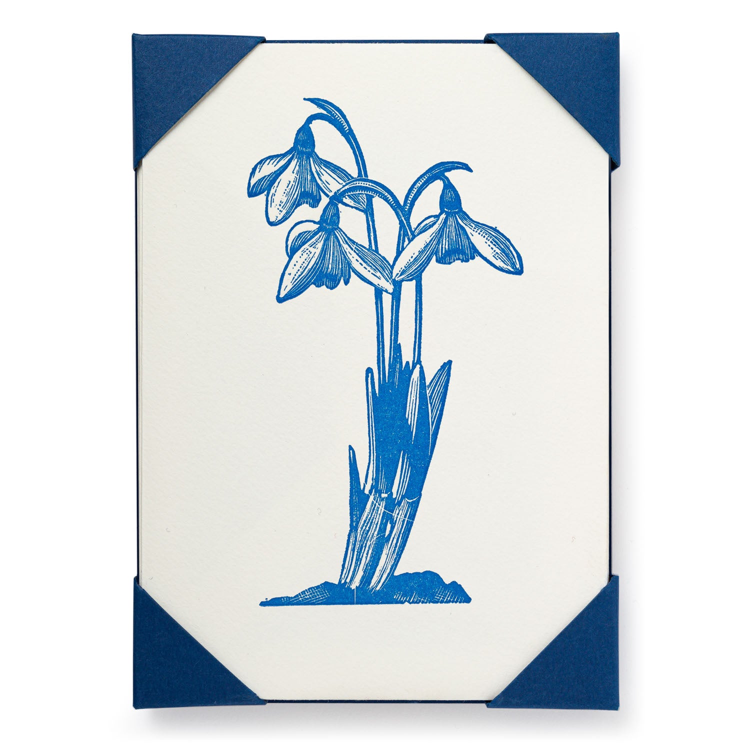 Letterpress Card Pack - Snowdrop
