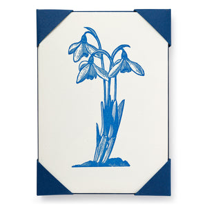 Letterpress Card Pack - Snowdrop