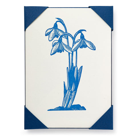 Letterpress Card Pack - Snowdrop