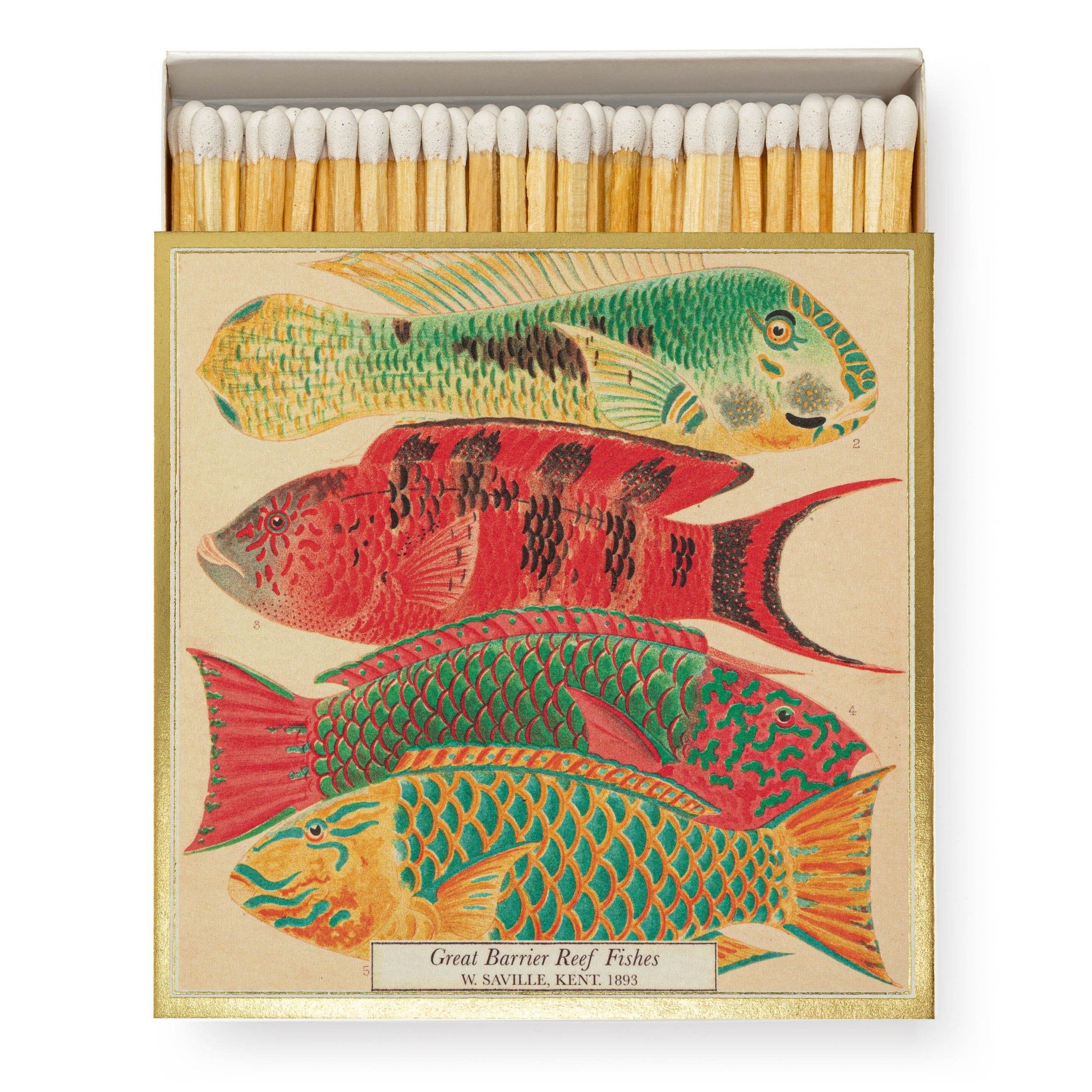 Natural History Museum Fish - Luxury Box of Matches from The Archivist