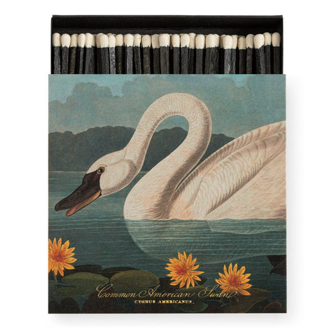 Luxury Box of Matches from The Archivist - Common American Swan
