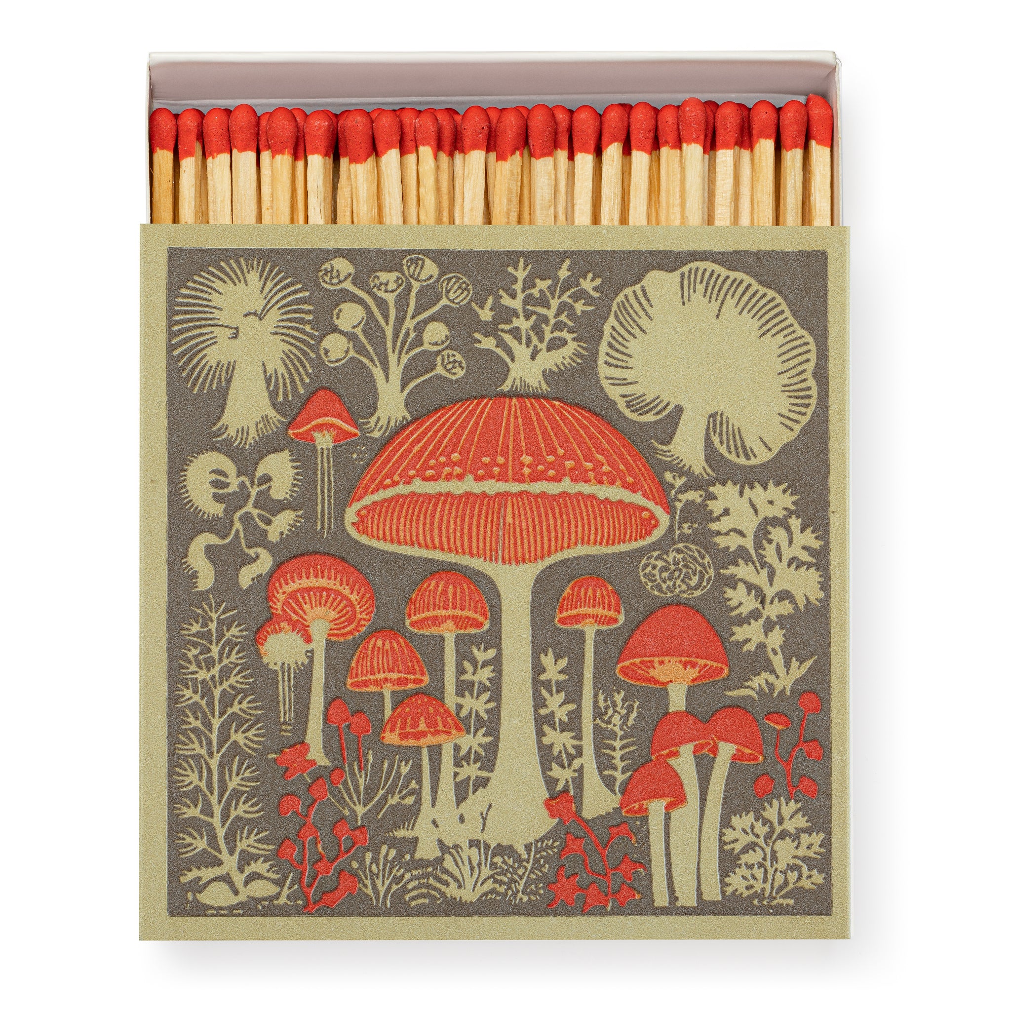 Mushrooms - Luxury Box of Matches from The Archivist