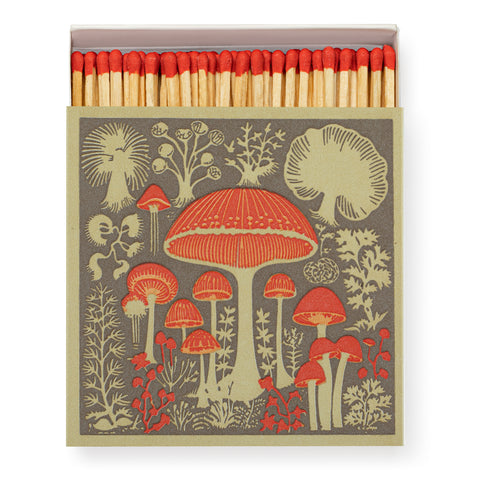 Mushrooms - Luxury Box of Matches from The Archivist