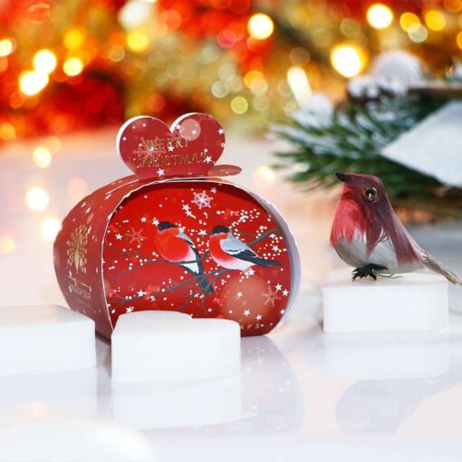 Merry Christmas Luxury Guest Soaps