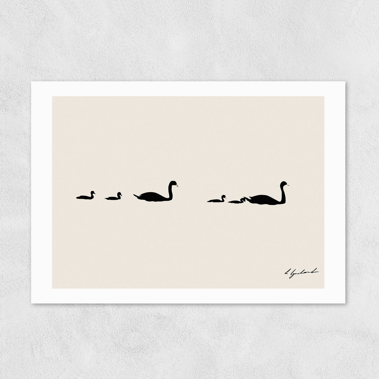 Swan Family - A3 Print