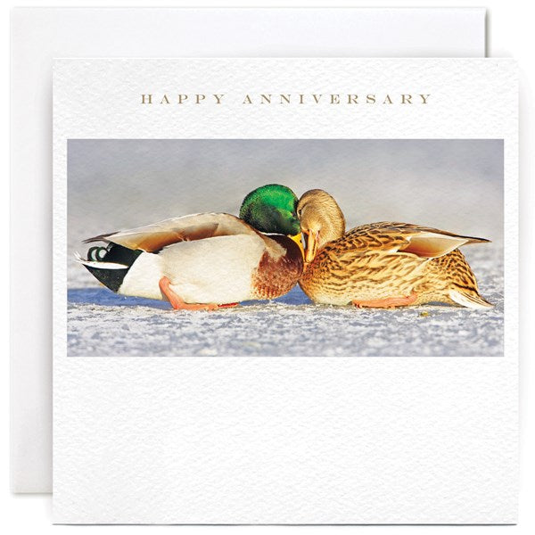 Susan O'Hanlon Anniversary Card - Ducks