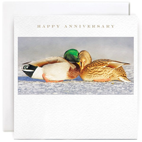 Susan O'Hanlon Anniversary Card - Ducks