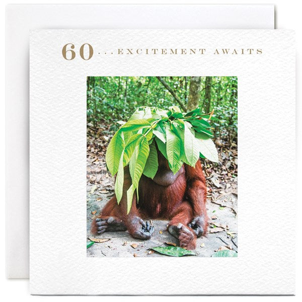 Susan O'Hanlon Card - Sixty
