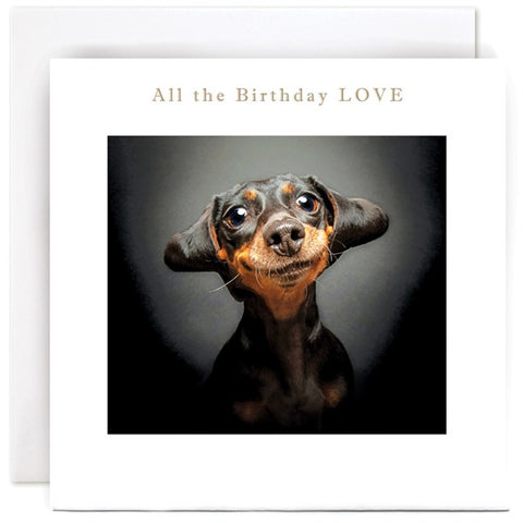 Susan O'Hanlon Card - All The Birthday Love