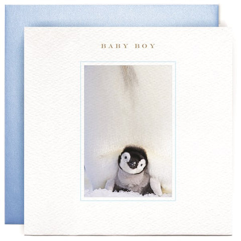 Susan O'Hanlon Card - Baby Boy