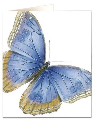 NHM Card - Blue Butterfly