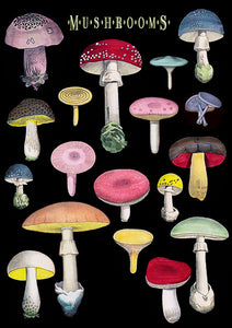 Madame Treacle Card - Mushrooms