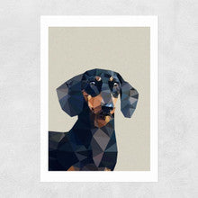 Dachsund - A3 Print