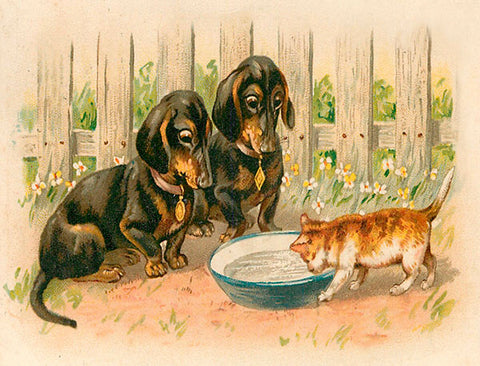 Vintage Petite Card - Dachsunds