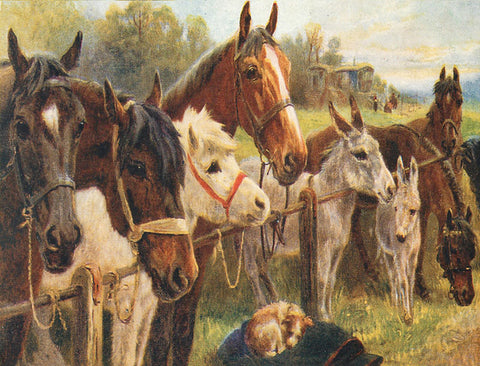 Vintage Petite Card - Horses & Donkeys