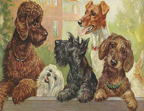 Vintage Petite Card - Dogs
