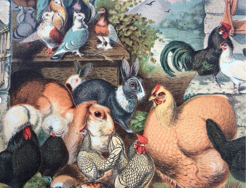 Vintage Petite Card - Farmyard