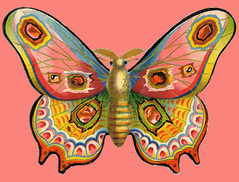 Vintage Petite Card - Butterfly