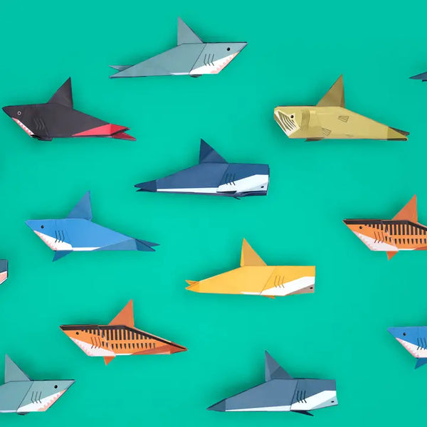 Origami Sharkss - Create and Display Kit