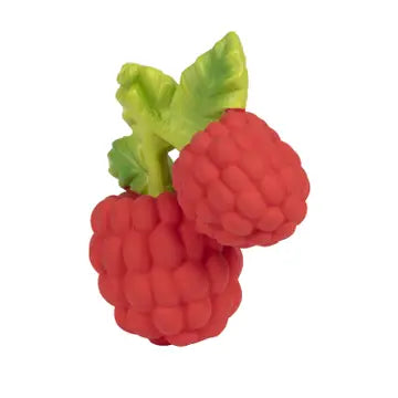 Oli & Carol Teether - Raspberry