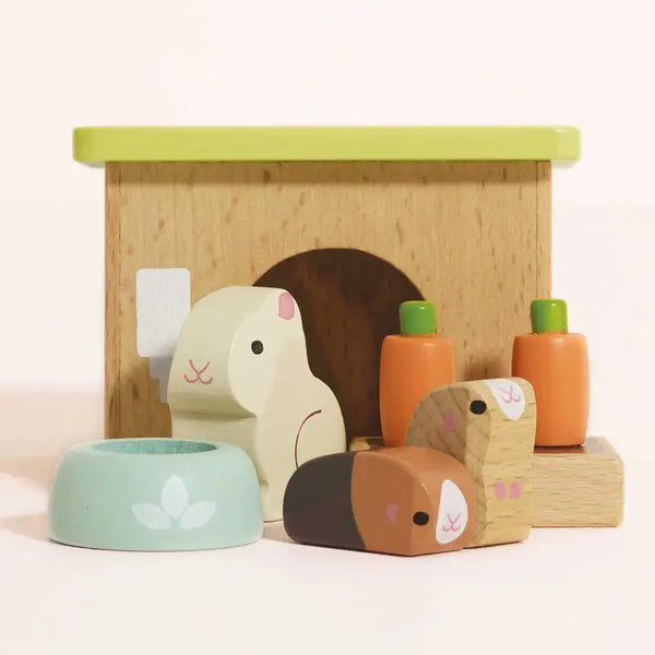Bunny & Guinea Pet Set