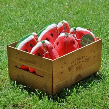 Plush Zip Pouch - Squishy Watermelon