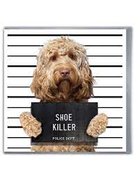 Funny Card - Happy Birthday Cockerpoo Shoe Killer